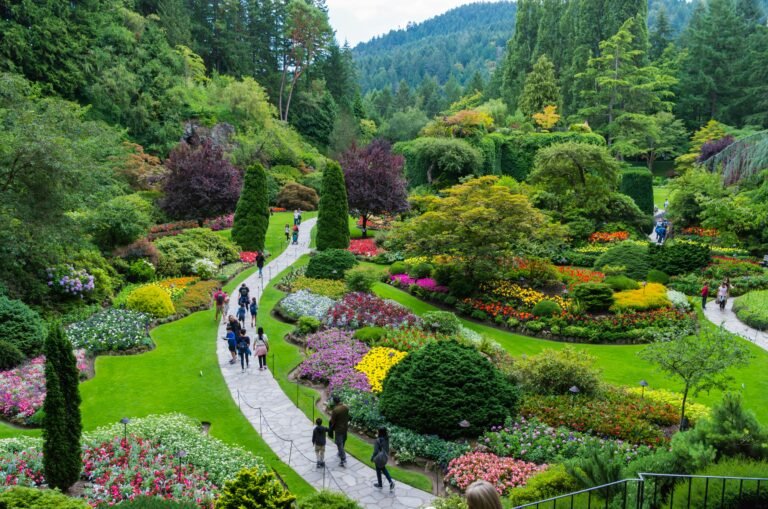Gardening and Lawn Services.